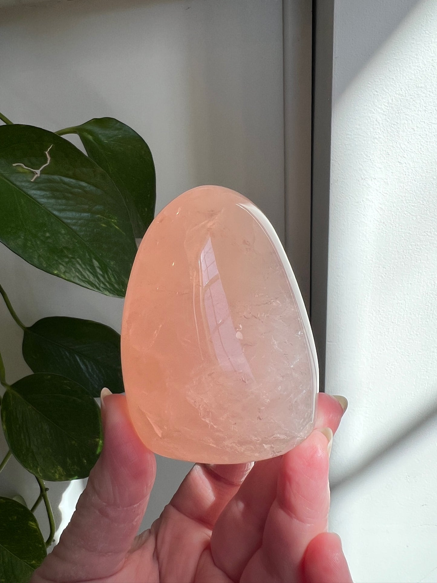 Rose Quartz Freeform - Very Gemmy!