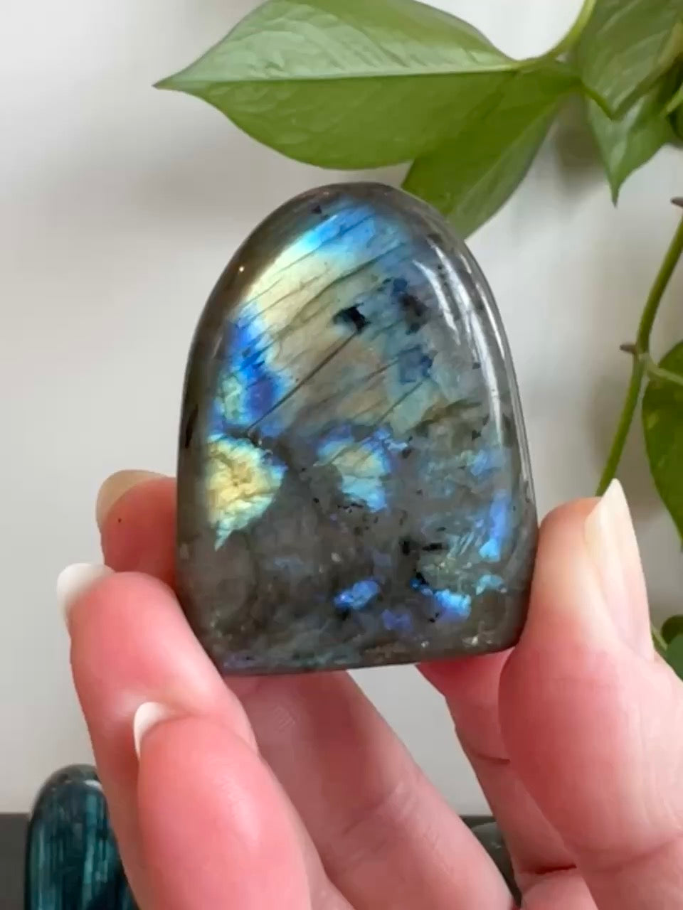 Labradorite Freeform (High Flash)